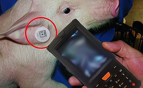 RFIDֳ֙C(j)iB(yng)ֳ(dng)